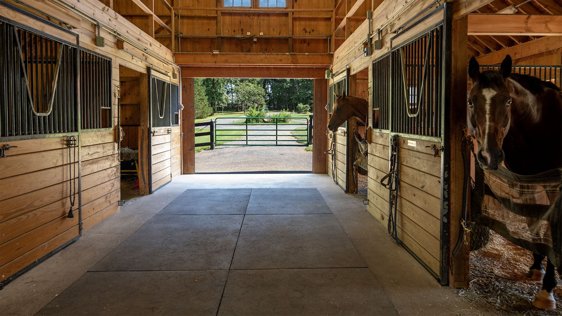 Horses in the stalls at the Madison County Virginia horse farm