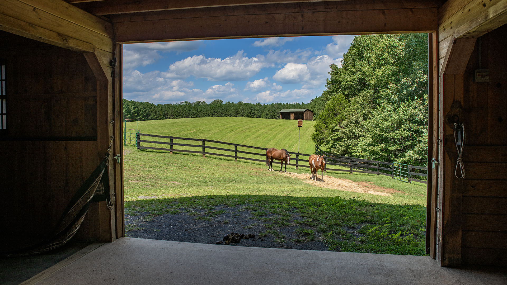 Horses at the 44-acre farm at 3638 Oak Park Road in Madison Virginia