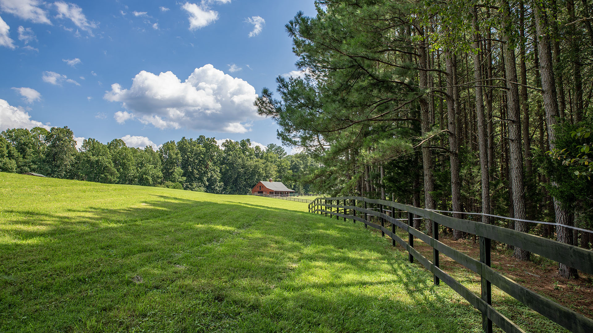 Three-board wood fencing surrounding the horse pastures at the Madison County Virginia farm