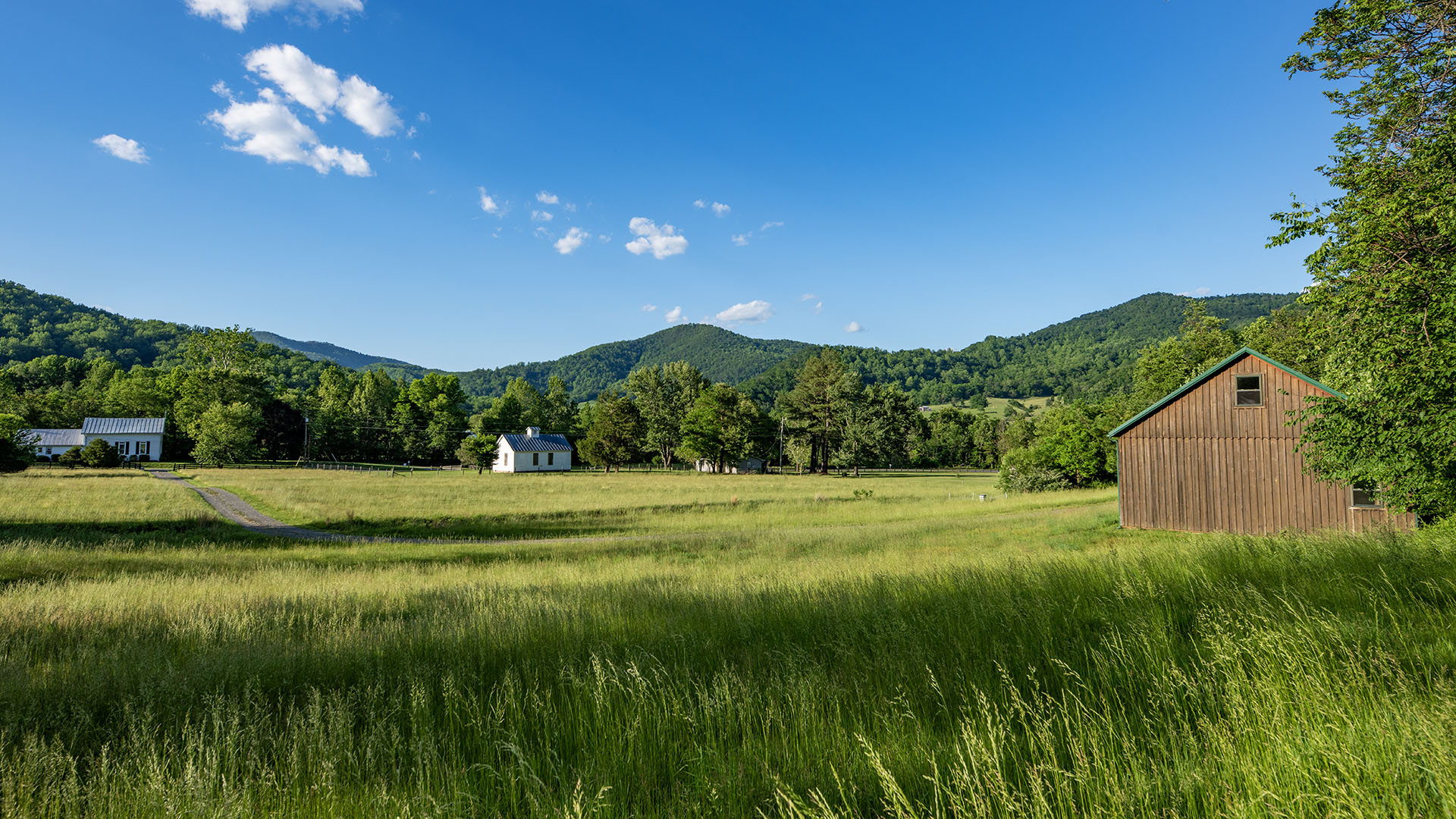 Pasture at 99 Bluff Mountain Road Madison VA