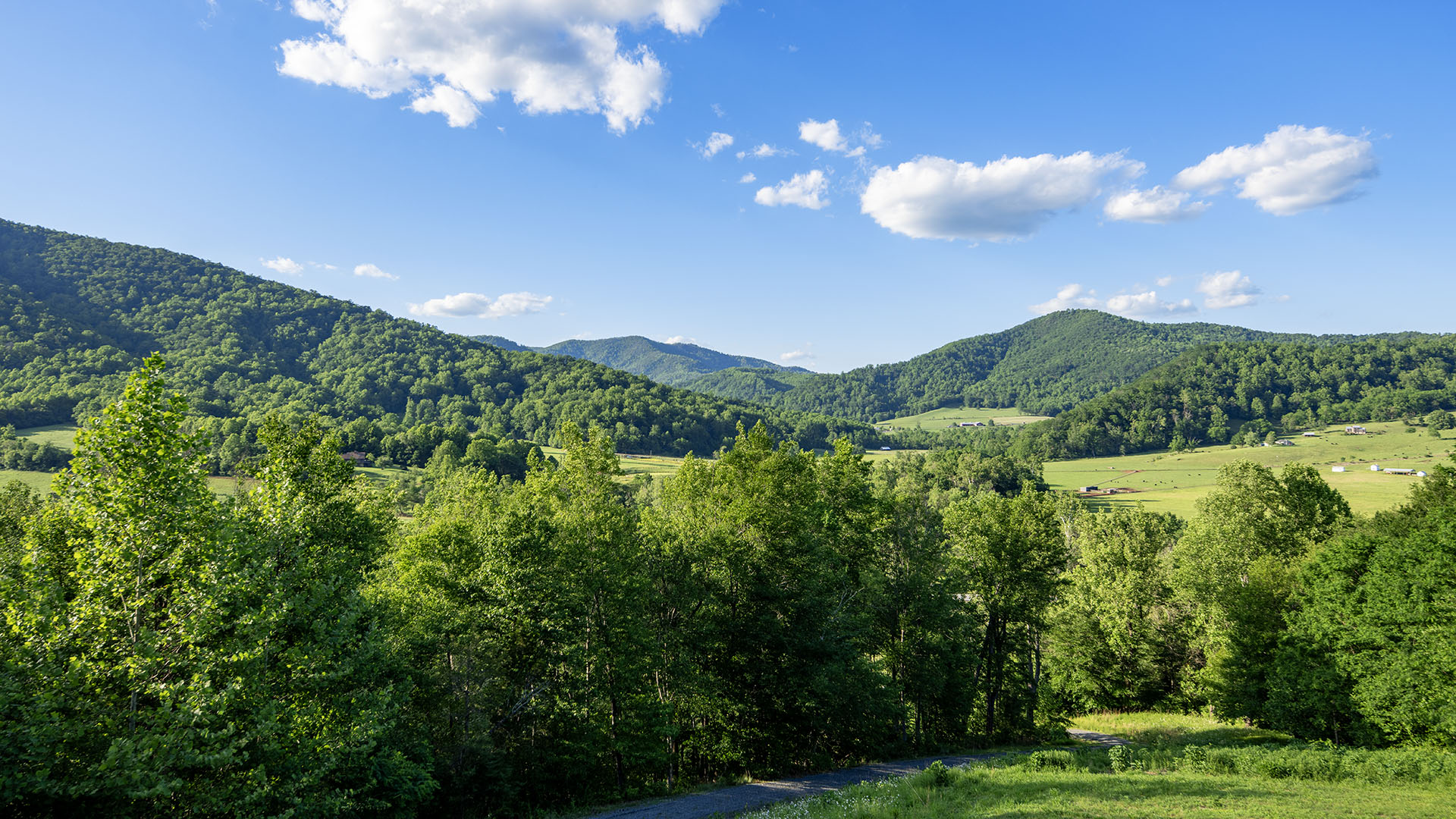 Wake up to these gorgeous Blue Ridge Mountain views