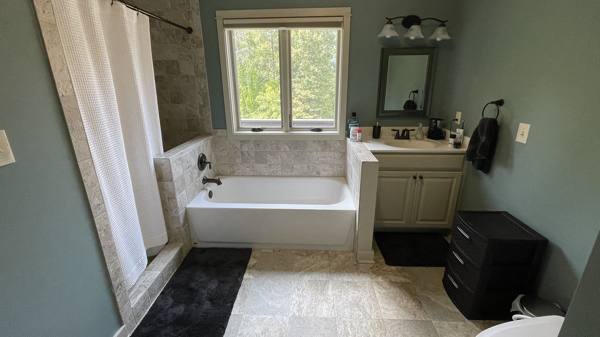 Primary bathroom in Madison Virginia country home