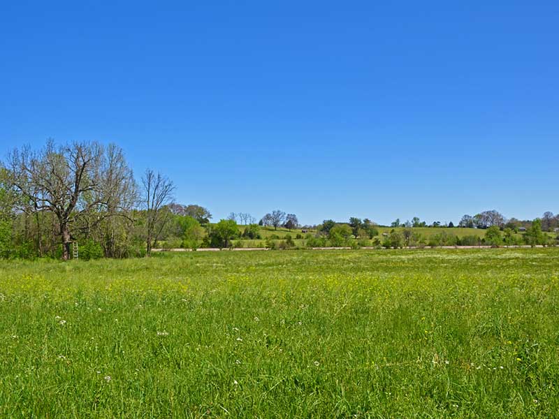 Rocky Hill Farm for Sale in Nelson County Virginia