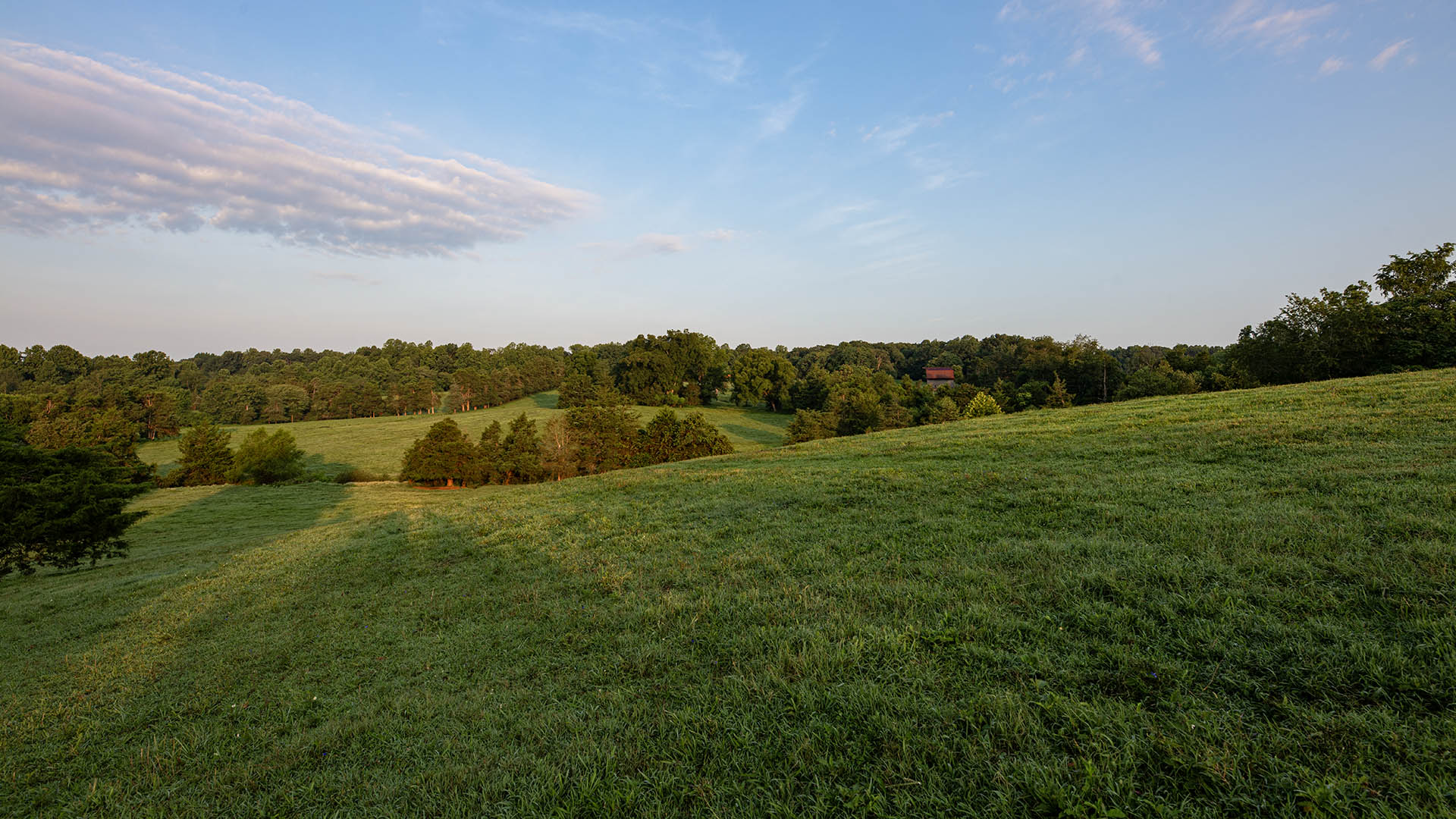 The Farm at Pleasant Run - Acreage for Sale in Orange County VA