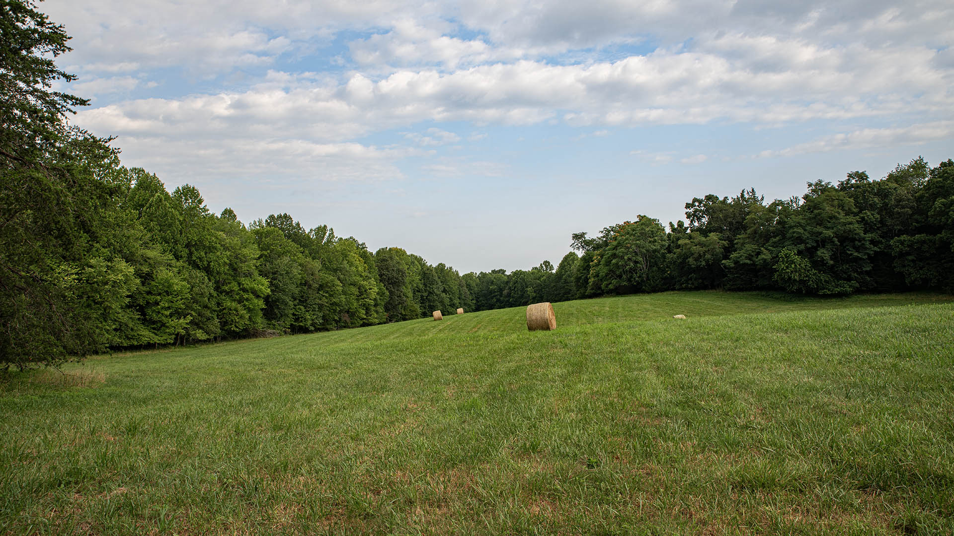 Acreage for Sale in Orange County VA