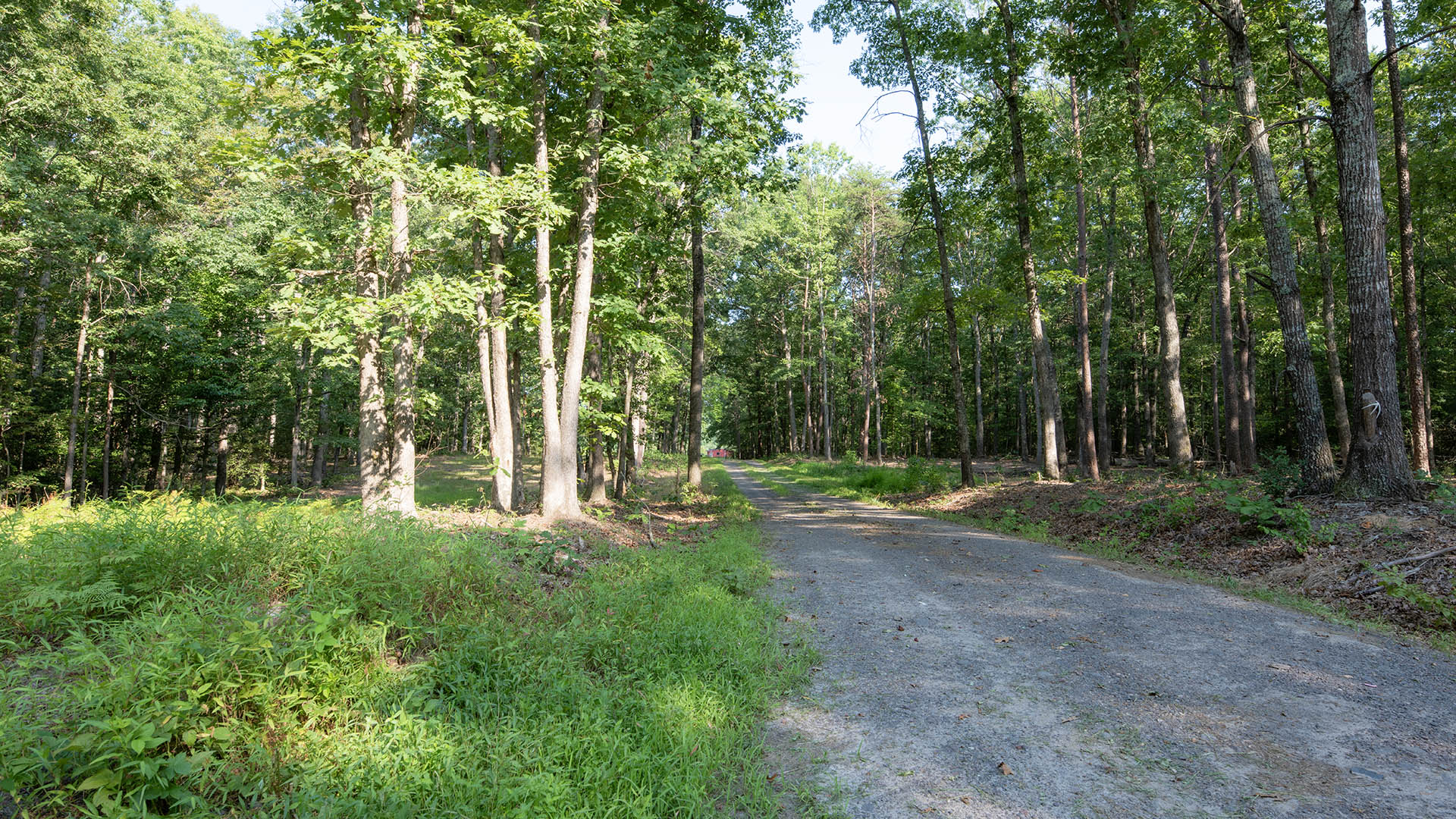 The Farm at Pleasant Run - Acreage for Sale in Orange County VA