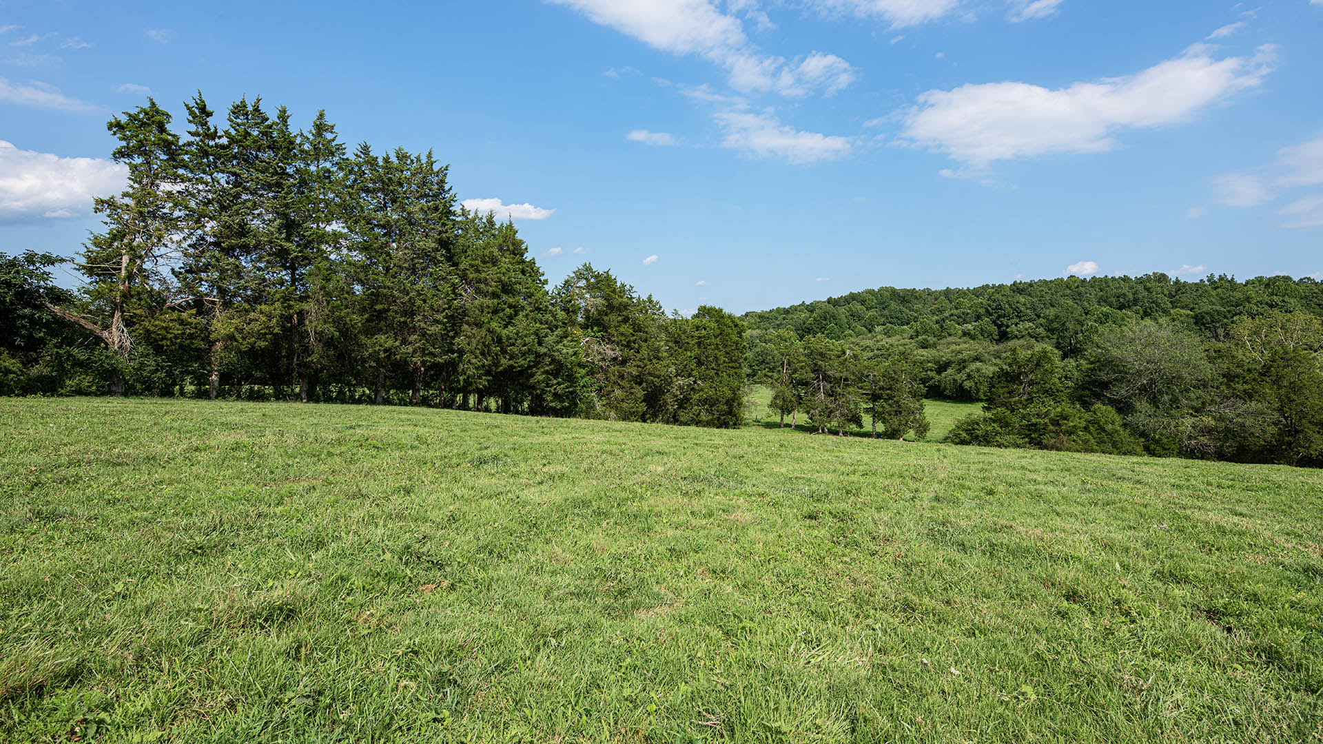 The Farm at Pleasant Run - Acreage for Sale in Orange County VA