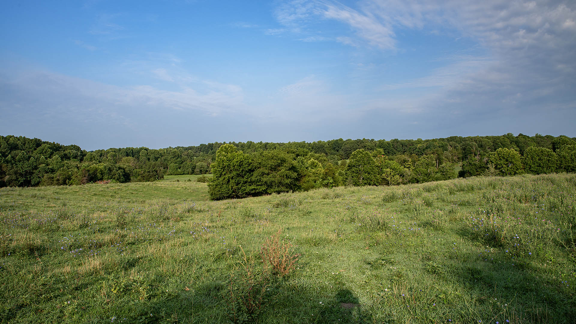 The Farm at Pleasant Run - Acreage for Sale in Orange County VA