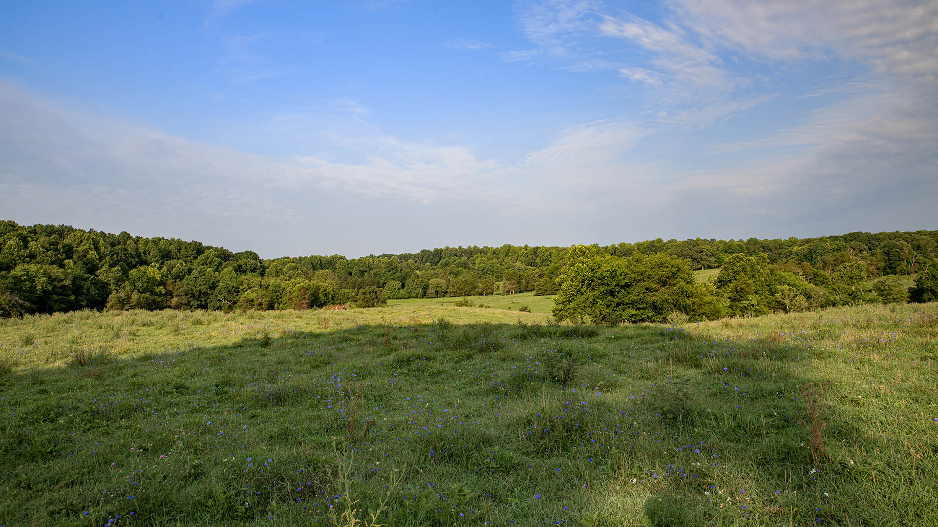 The Farm at Pleasant Run - Acreage for Sale in Orange County VA