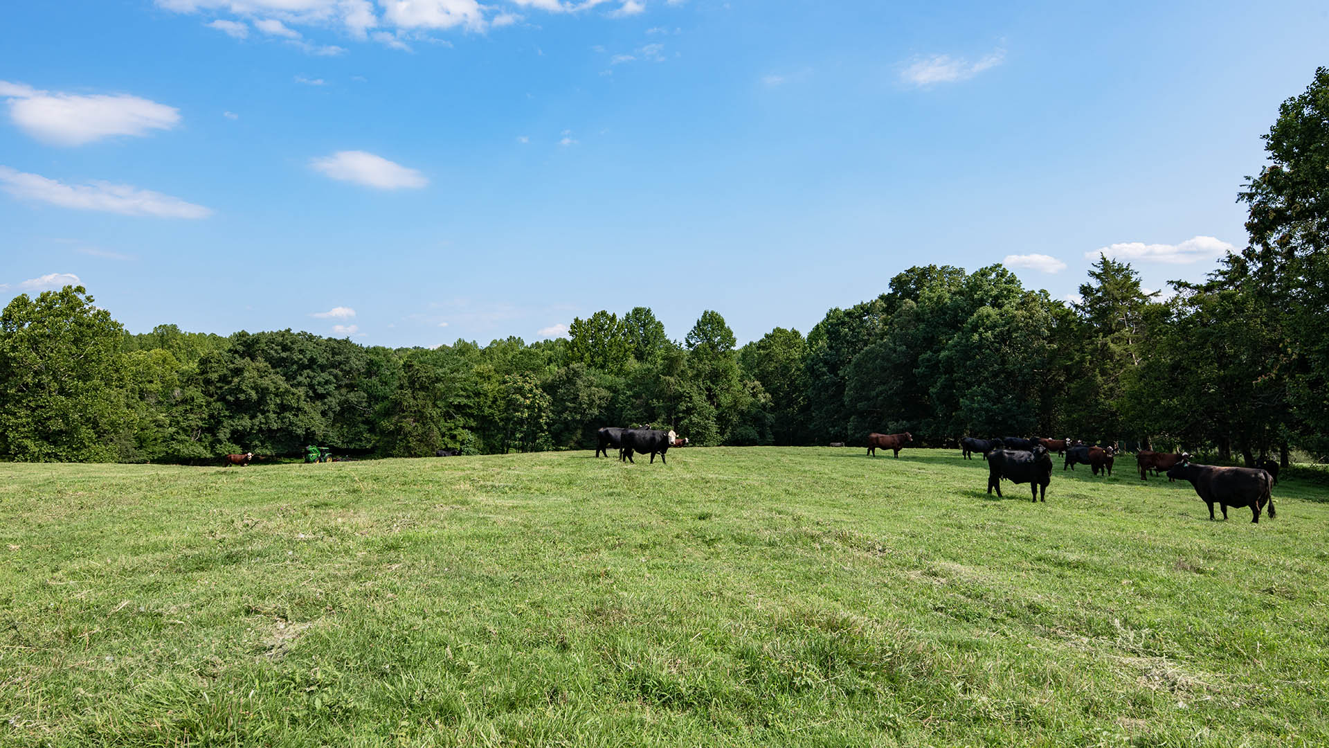 The Farm at Pleasant Run - Acreage for Sale in Orange County VA