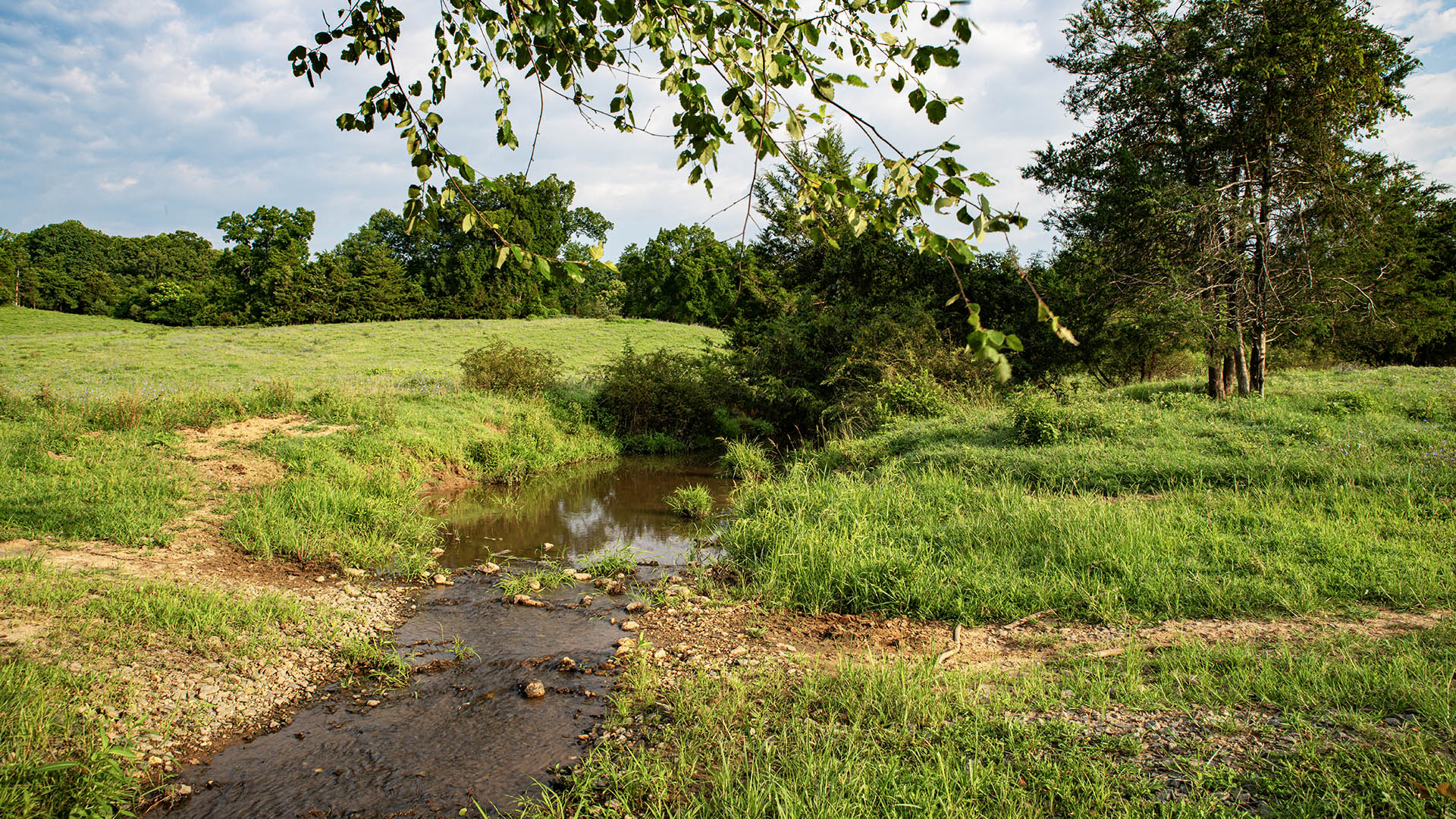 The Farm at Pleasant Run - Acreage for Sale in Orange County VA