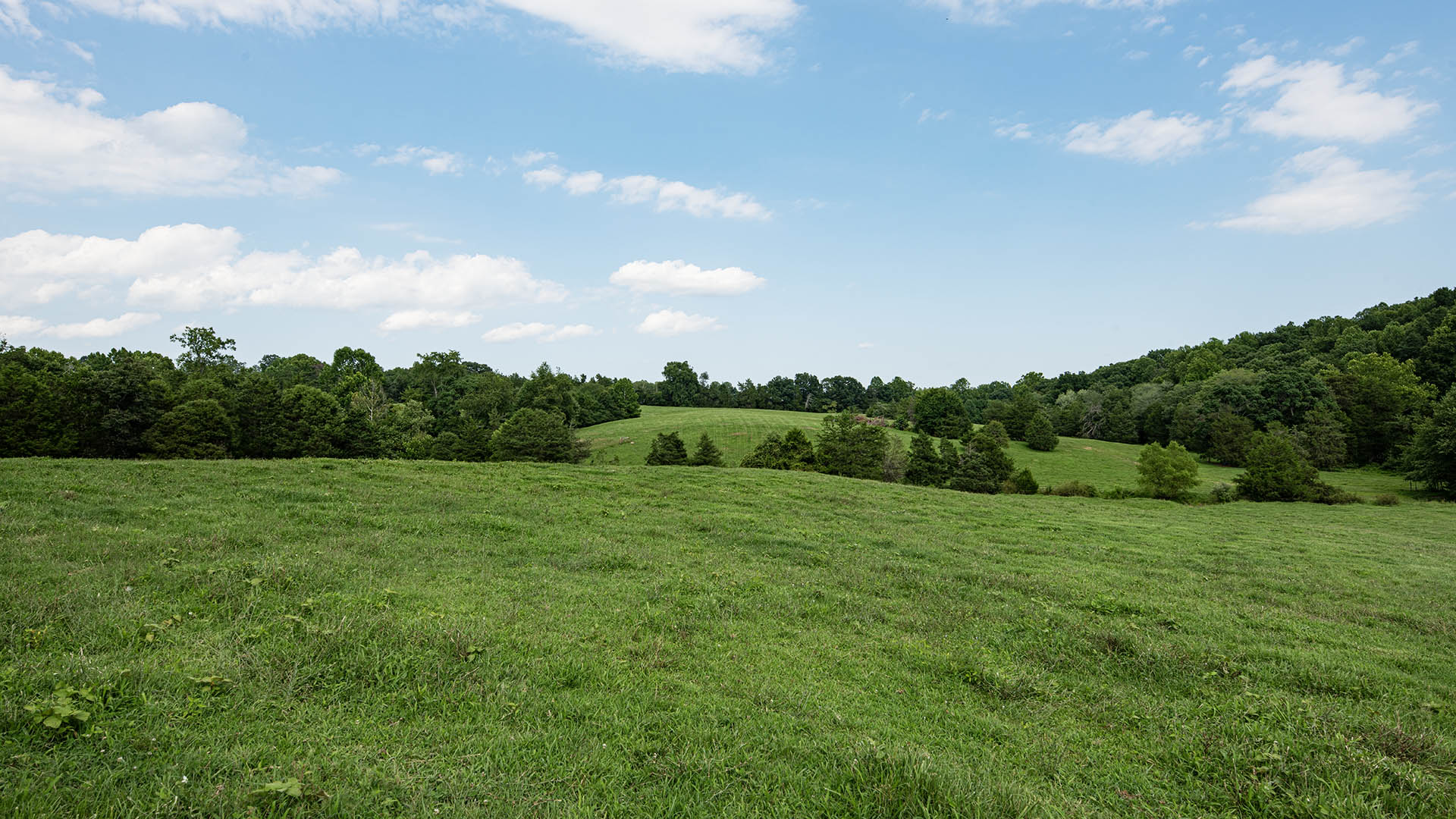 The Farm at Pleasant Run - Acreage for Sale in Orange County VA