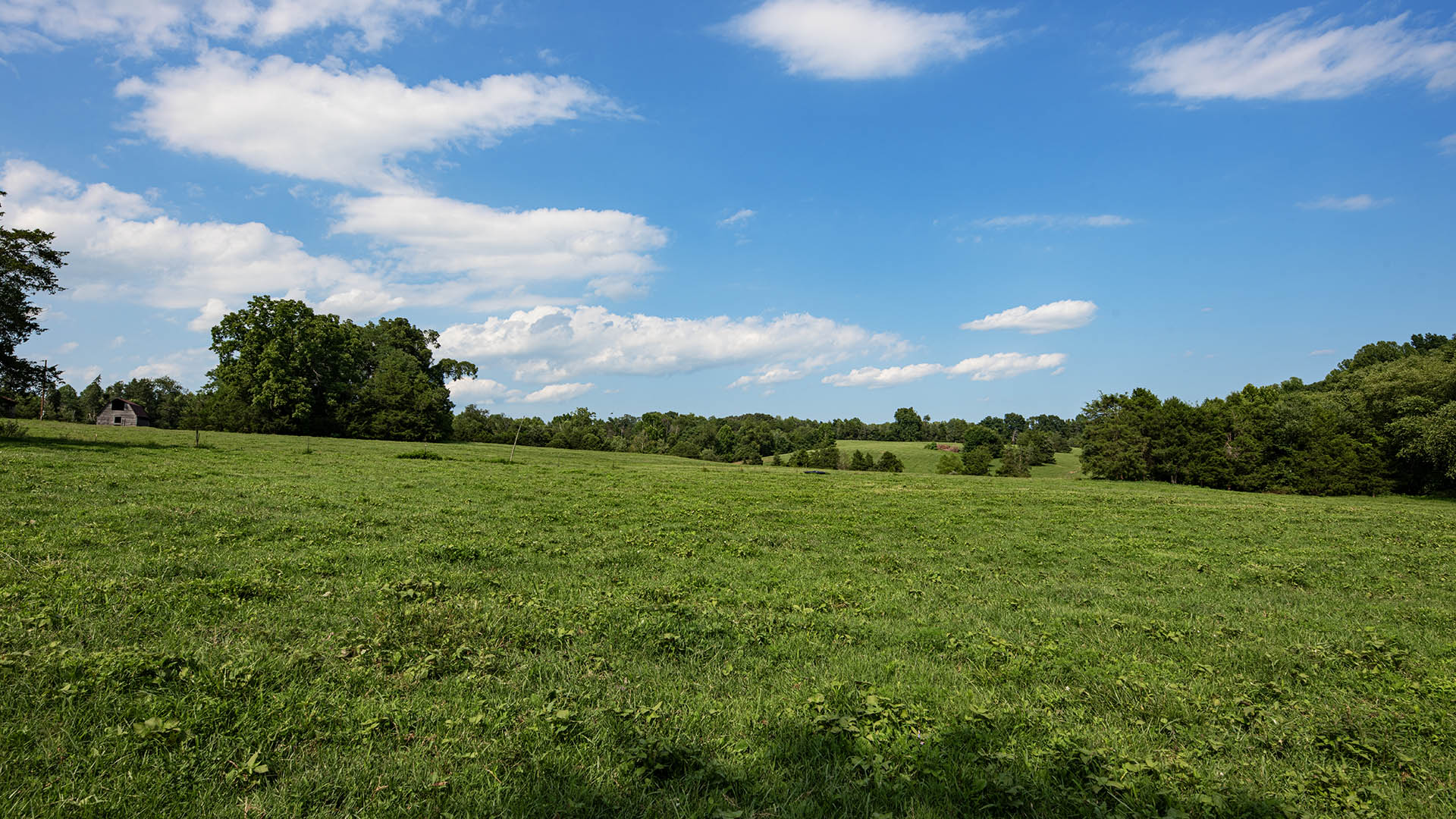 The Farm at Pleasant Run - Acreage for Sale in Orange County VA