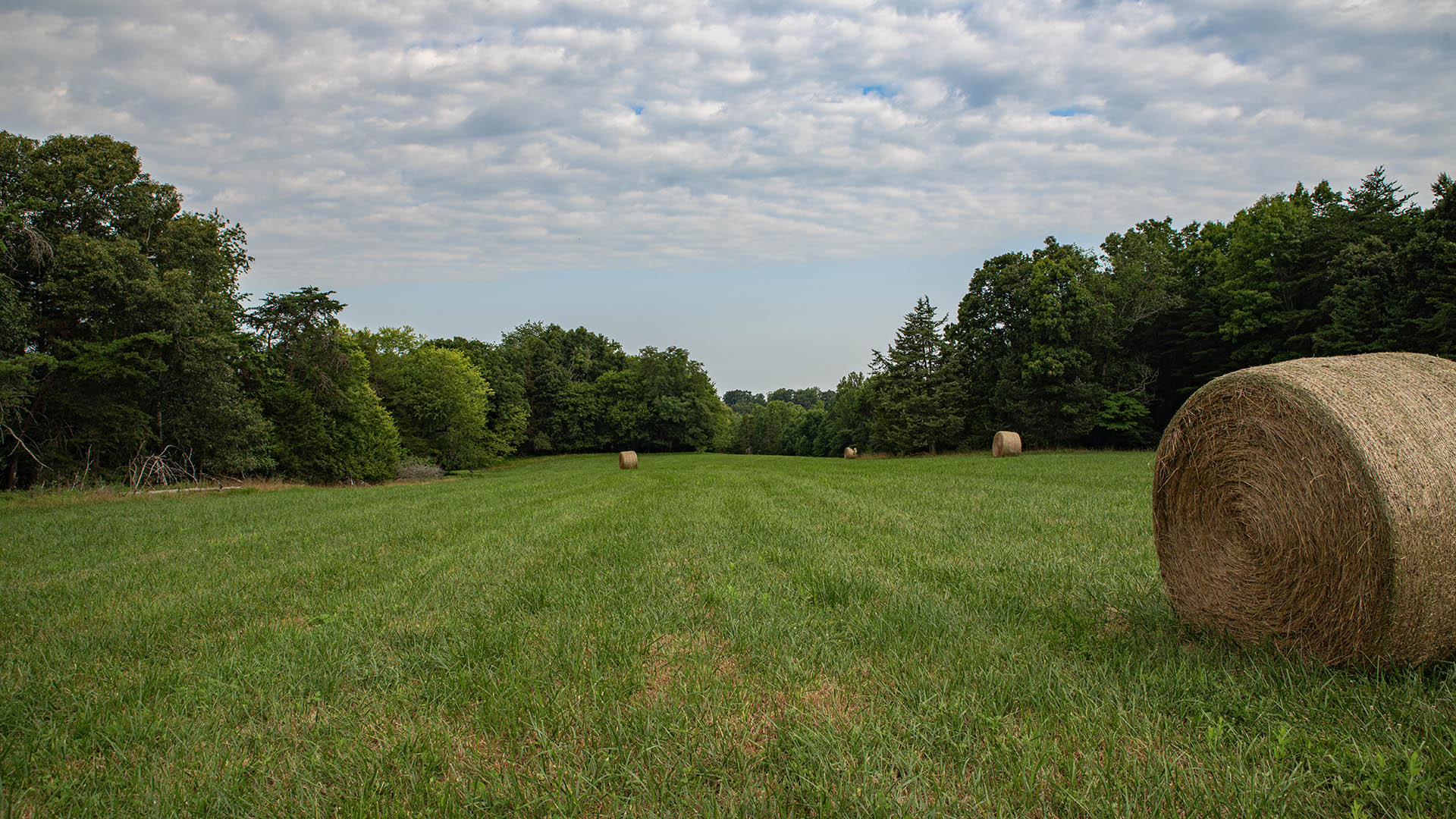 The Farm at Pleasant Run - Acreage for Sale in Orange County VA