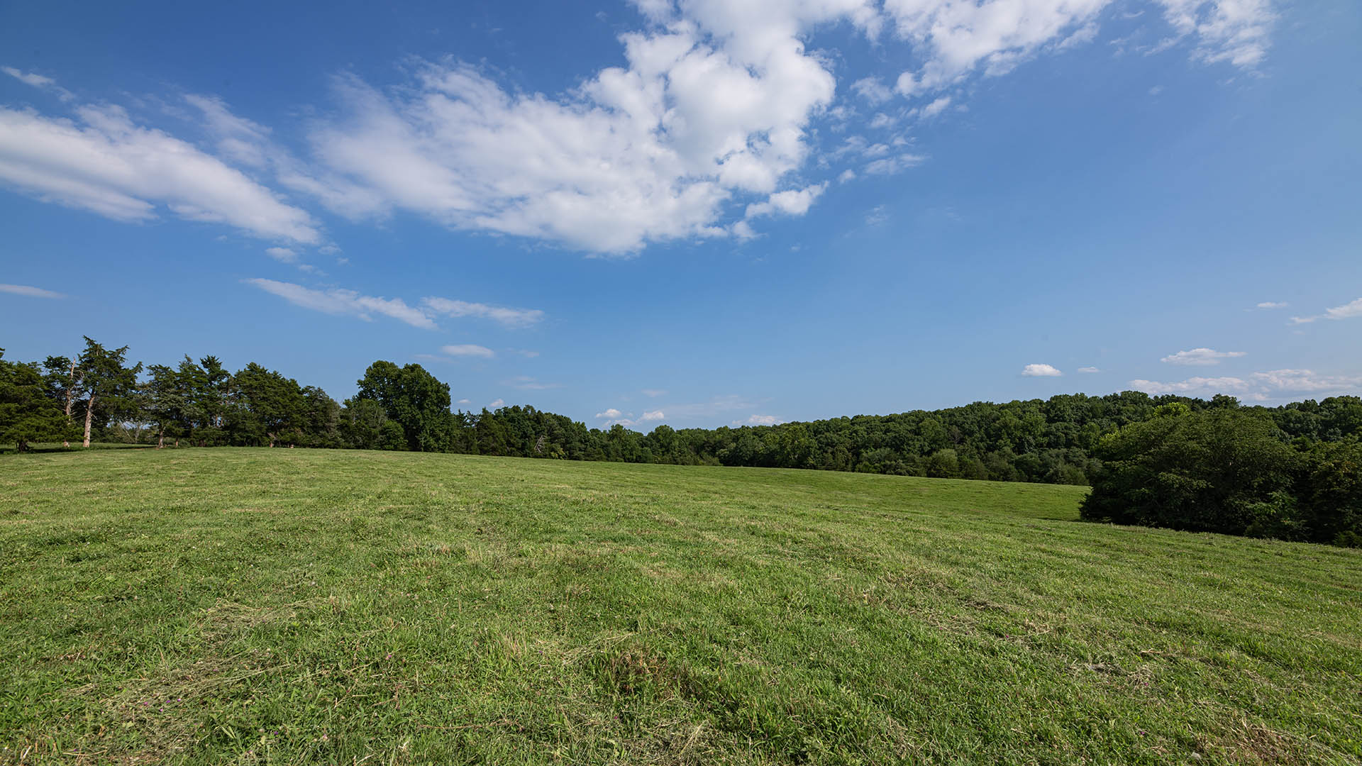 The Farm at Pleasant Run - Acreage for Sale in Orange County VA