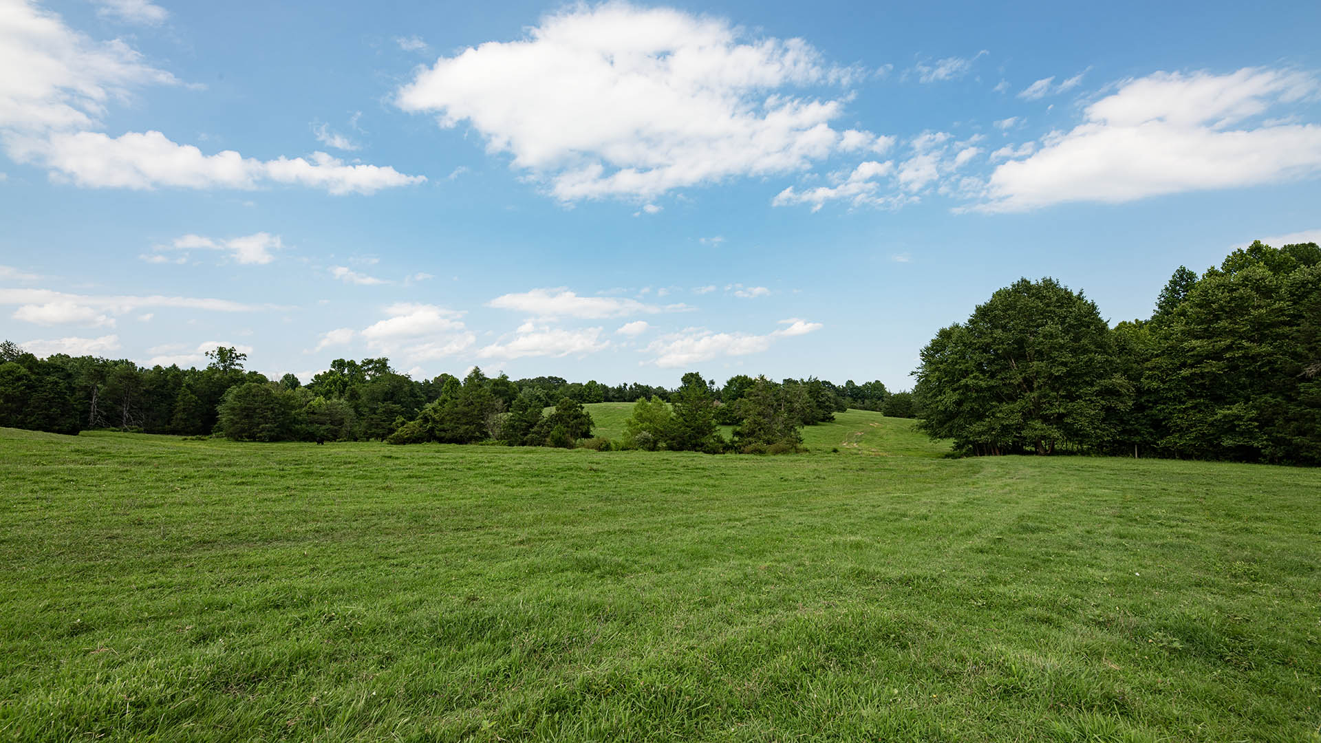 The Farm at Pleasant Run - Acreage for Sale in Orange County VA