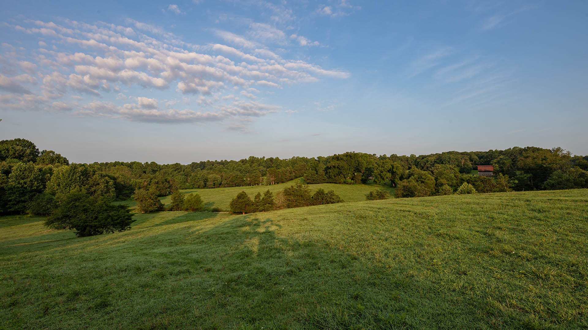 The Farm at Pleasant Run - Acreage for Sale in Orange County VA