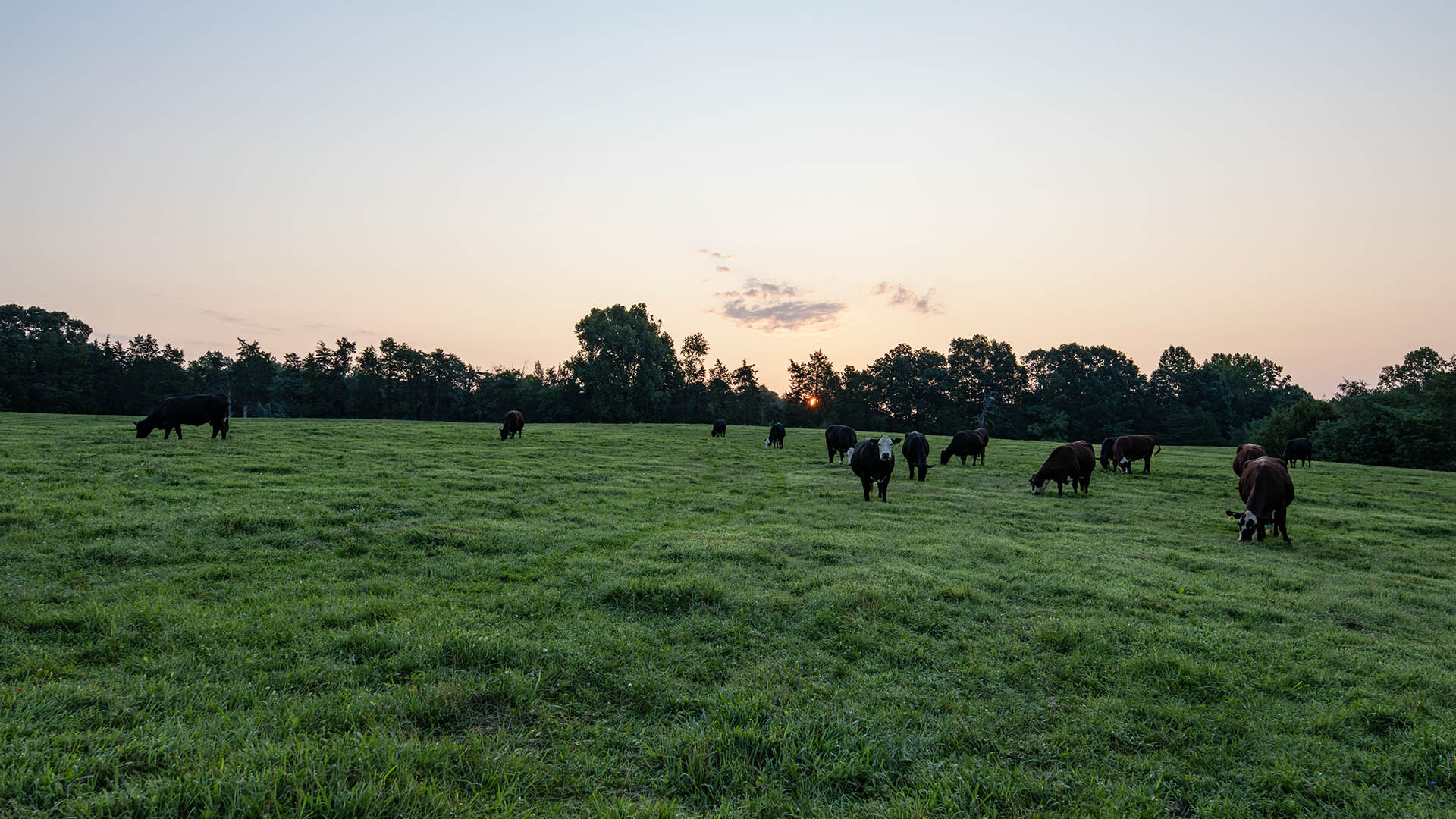 The Farm at Pleasant Run - Acreage for Sale in Orange County VA