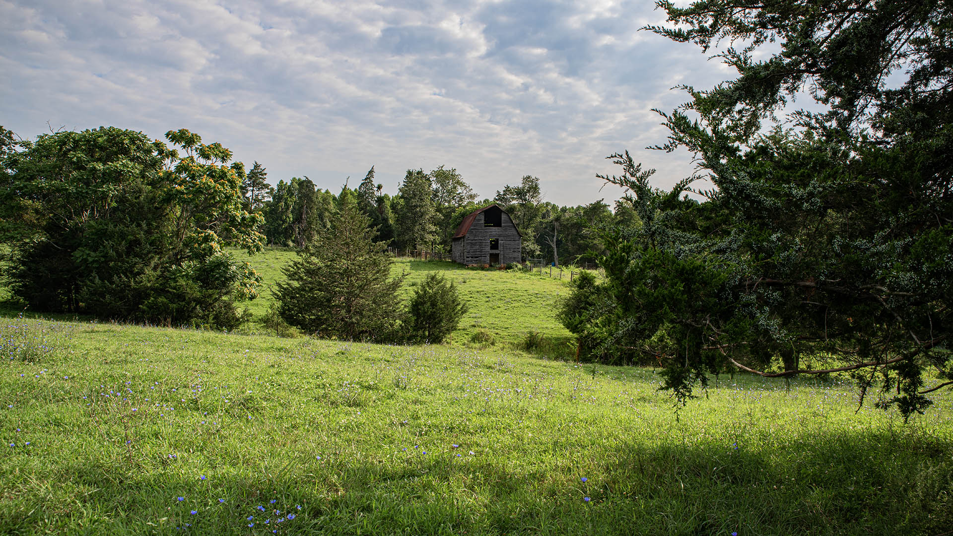 The Farm at Pleasant Run - Acreage for Sale in Orange County VA