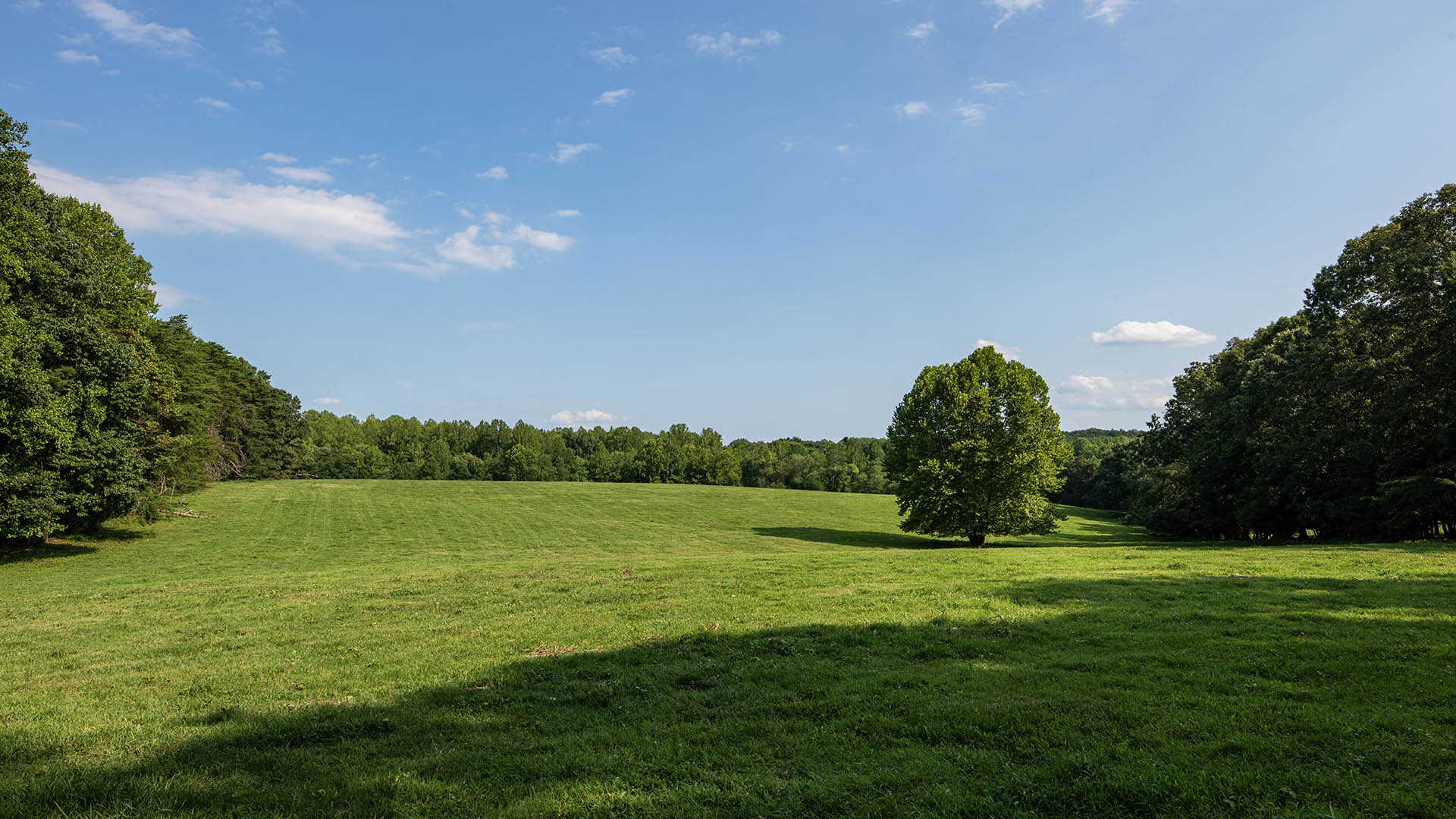 The Farm at Pleasant Run - Acreage for Sale in Orange County VA