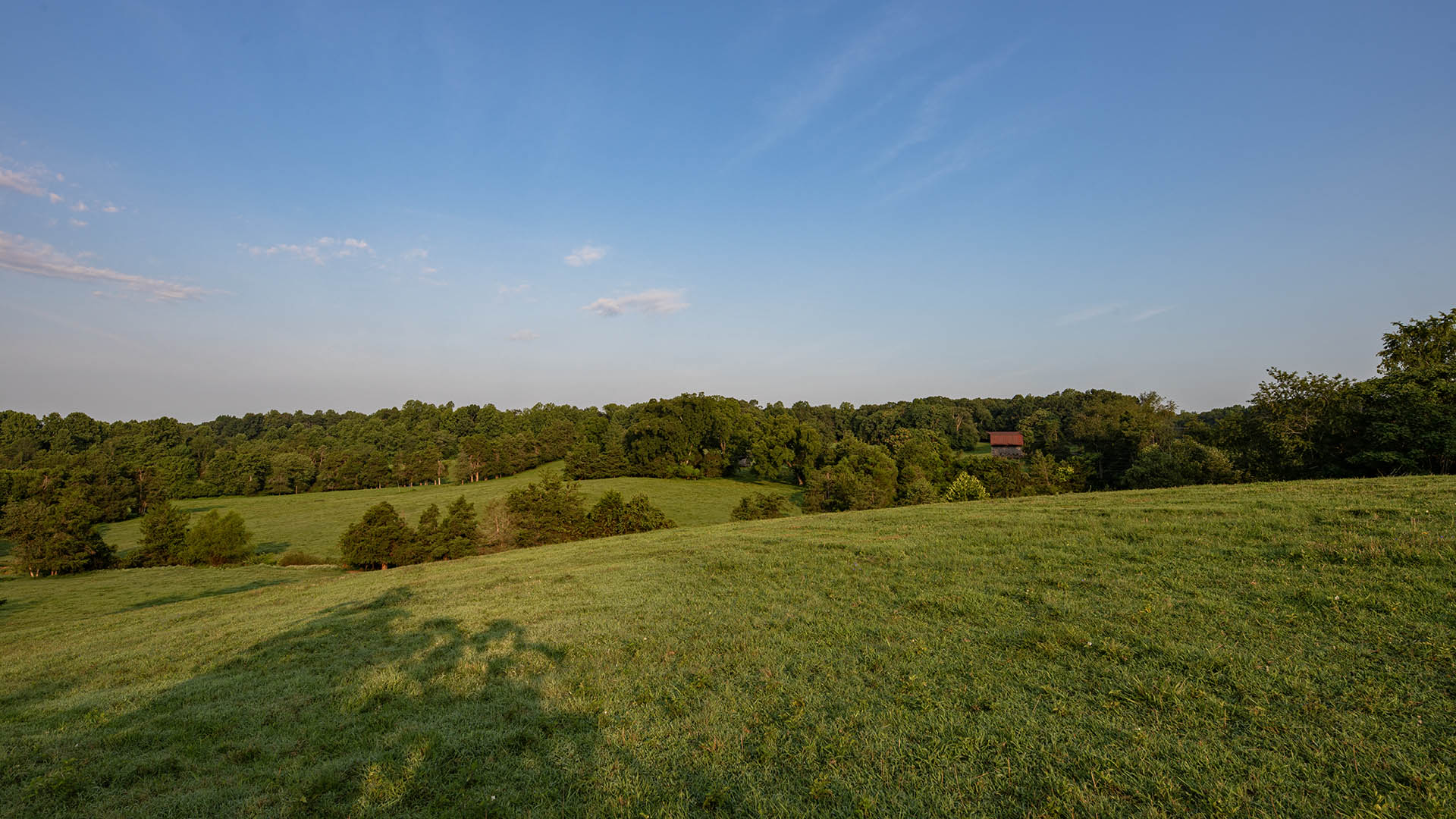 The Farm at Pleasant Run - Acreage for Sale in Orange County VA