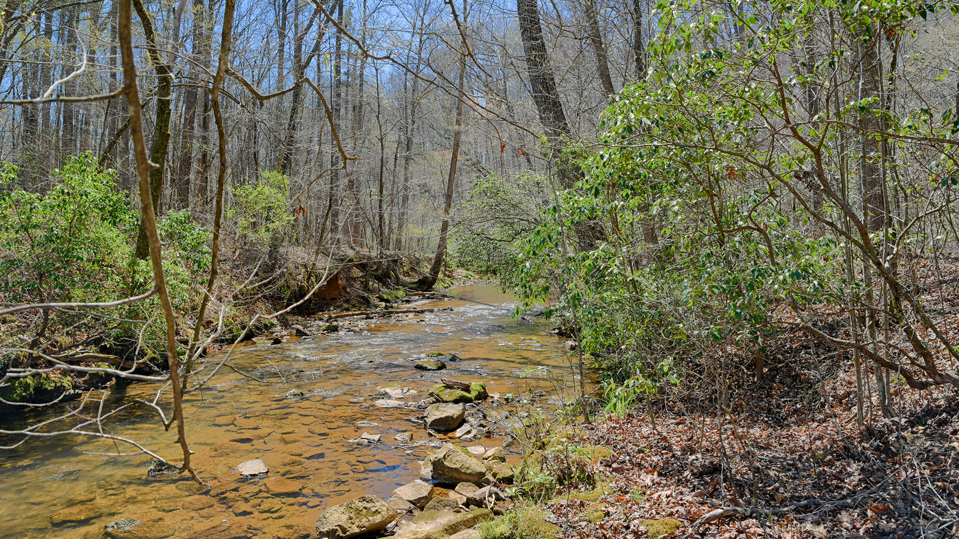 Cove Creek Land for Sale in Nelson County, Virginia