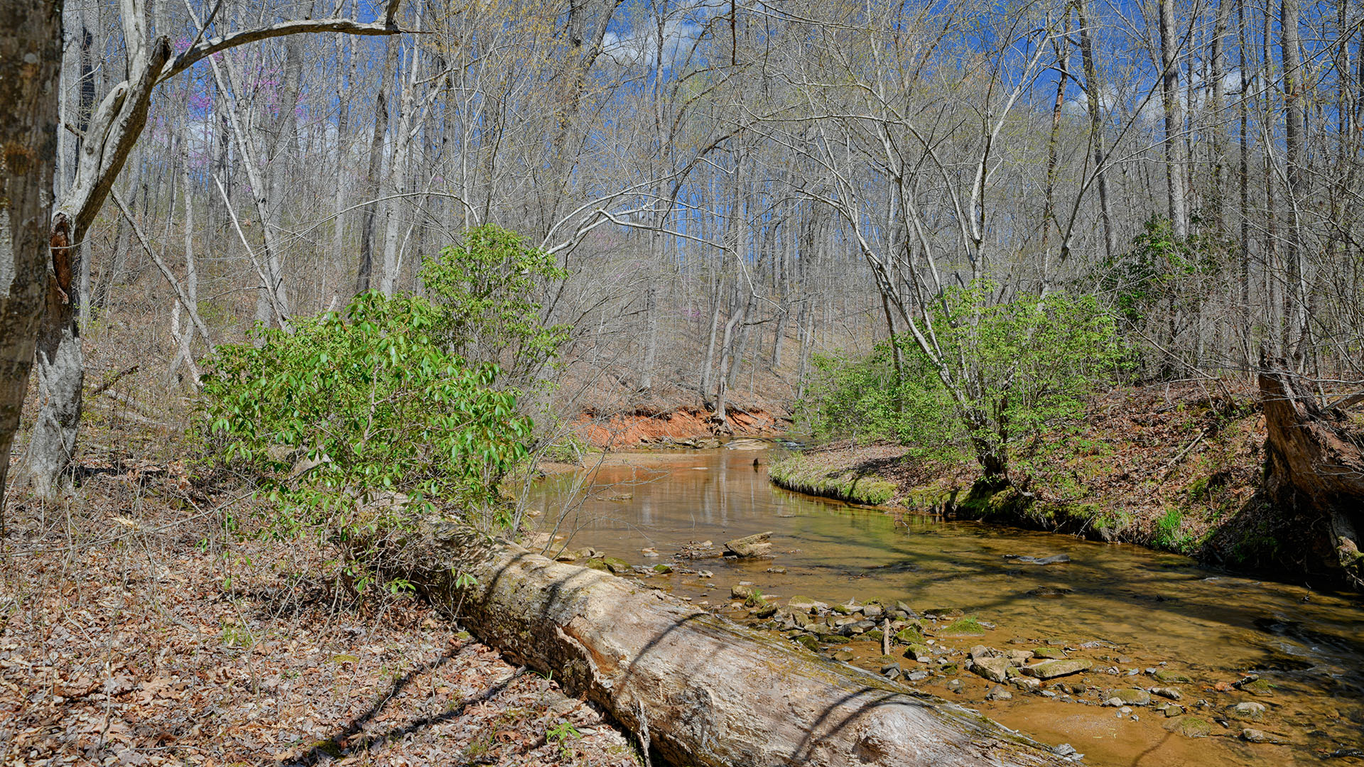 Cove Creek Land for Sale in Nelson County, Virginia