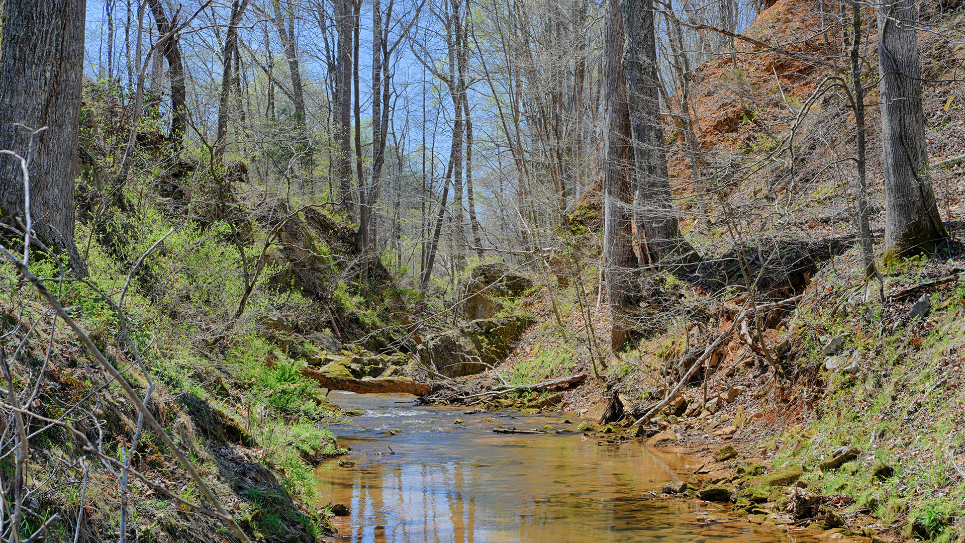 Nelson County VA Land for Sale Gayle Harvey Real Estate, Inc.