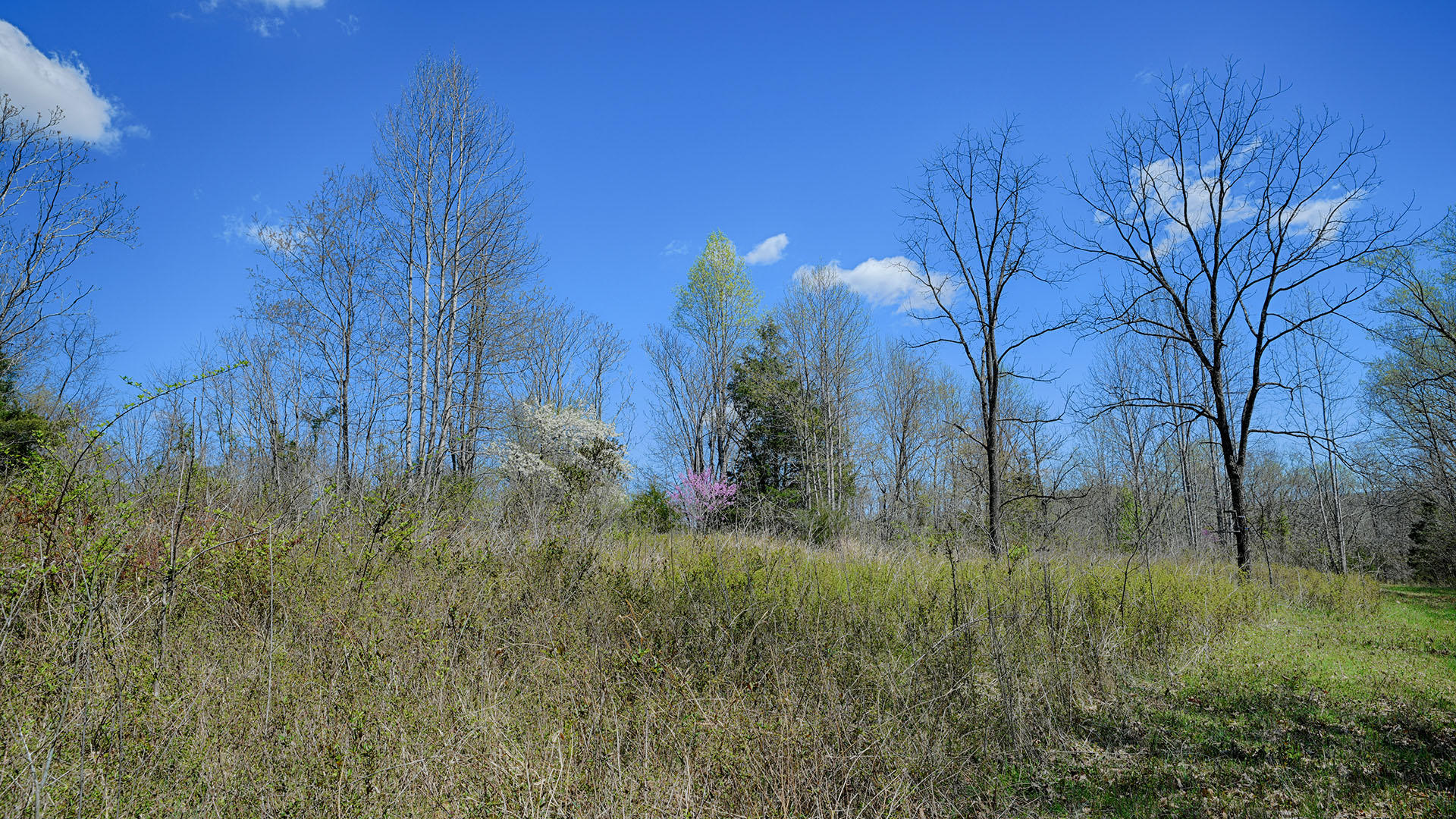 Cove Creek in Faber, Virginia