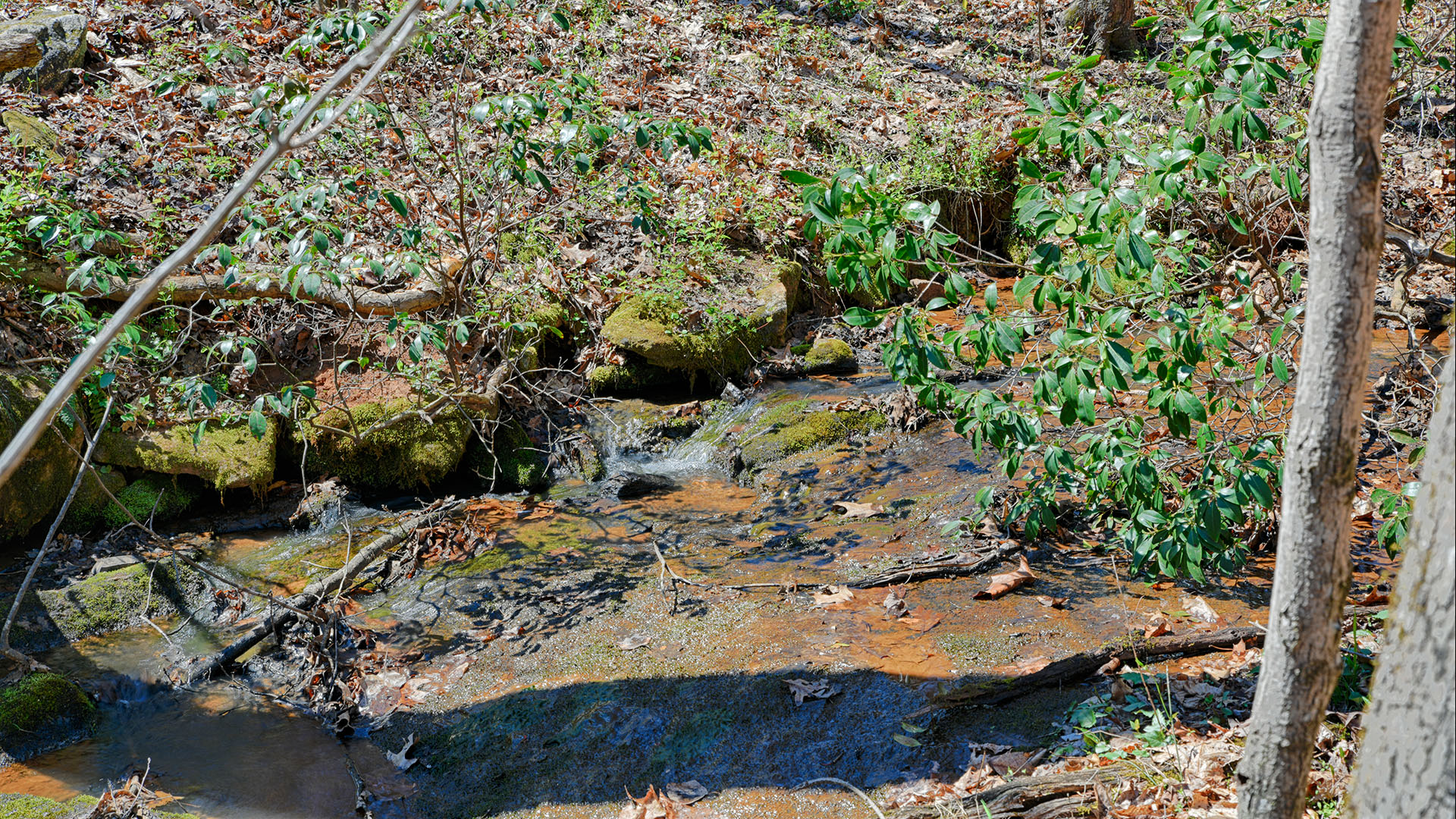 Cove Creek in Faber, Virginia