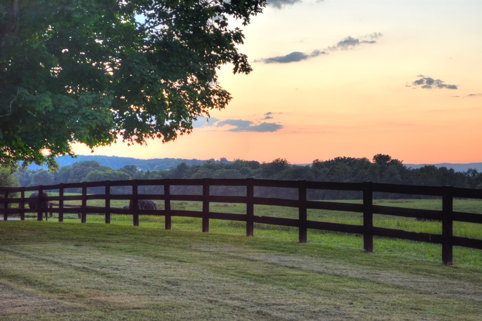 Virginia Cattle Ranch for Sale